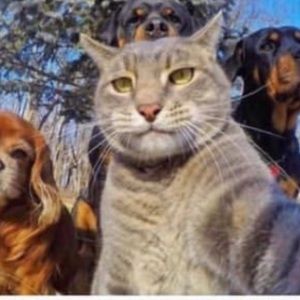 Meet your Posher, Tyaisha